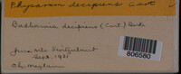 Image Associated With the Occurence